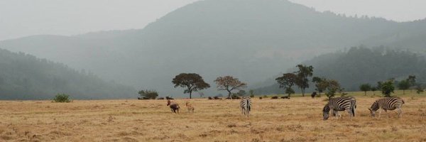 neuroluci Profile Banner