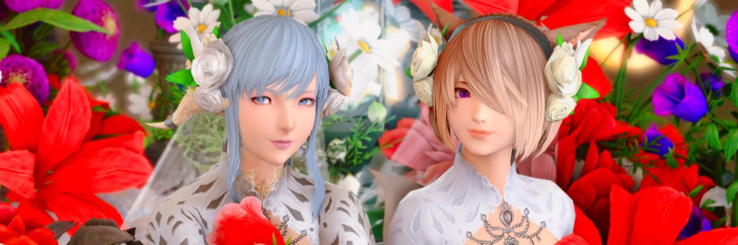 eli_katze's profile banner image