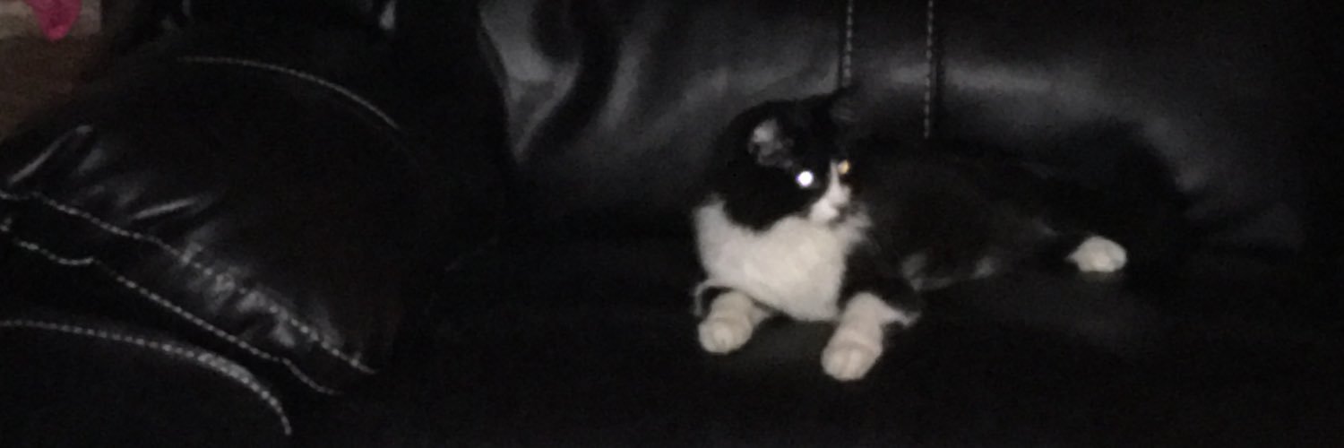 KikiHames's profile banner image