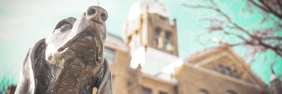 WBurgMainStreet's profile banner image