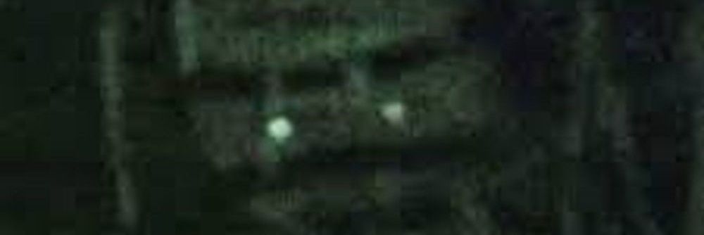 Guthhm's profile banner image