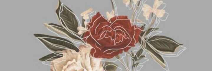 pelicaneo's profile banner image