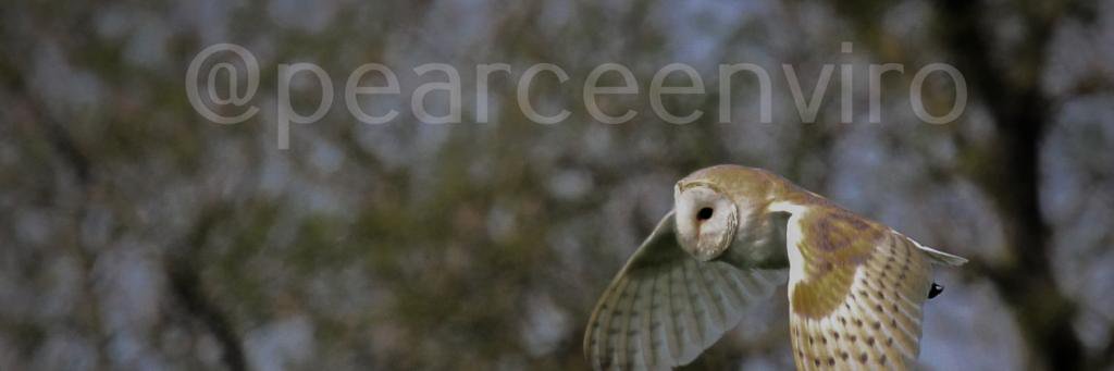 pearceenviro's profile banner image