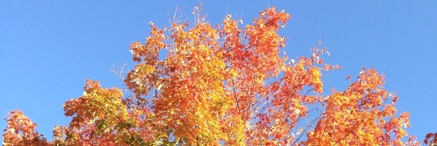 Emily Borman-Shoap (she/her) banner