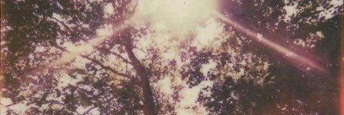 Nathan. banner