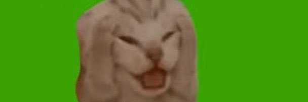 DavidenoMusuko1's profile banner image