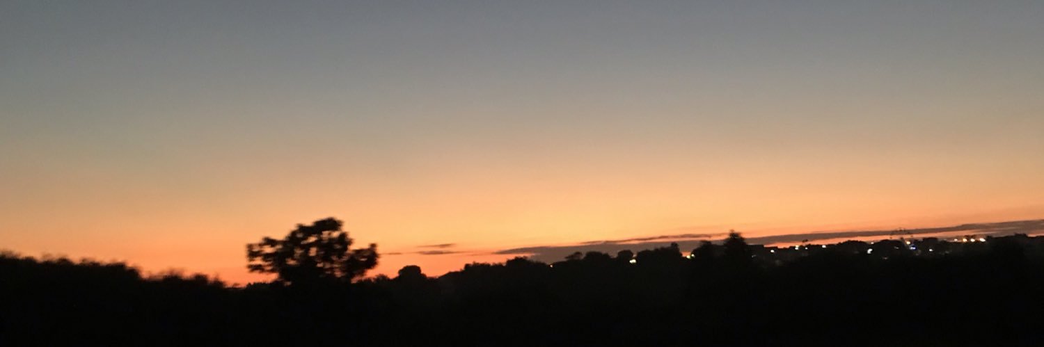 vickgallega's profile banner image