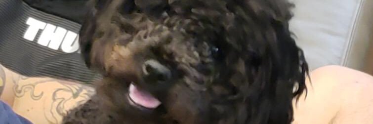 jbigpappa's profile banner image