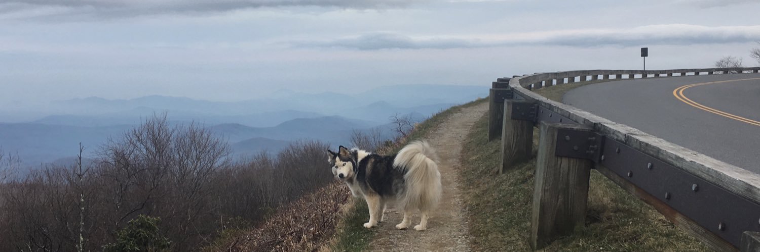 jaymekona's profile banner image
