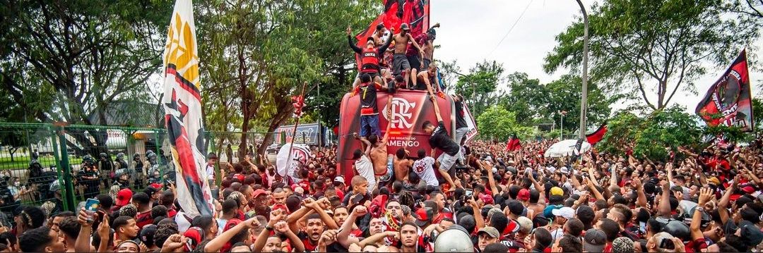 formigaapenas's profile banner image