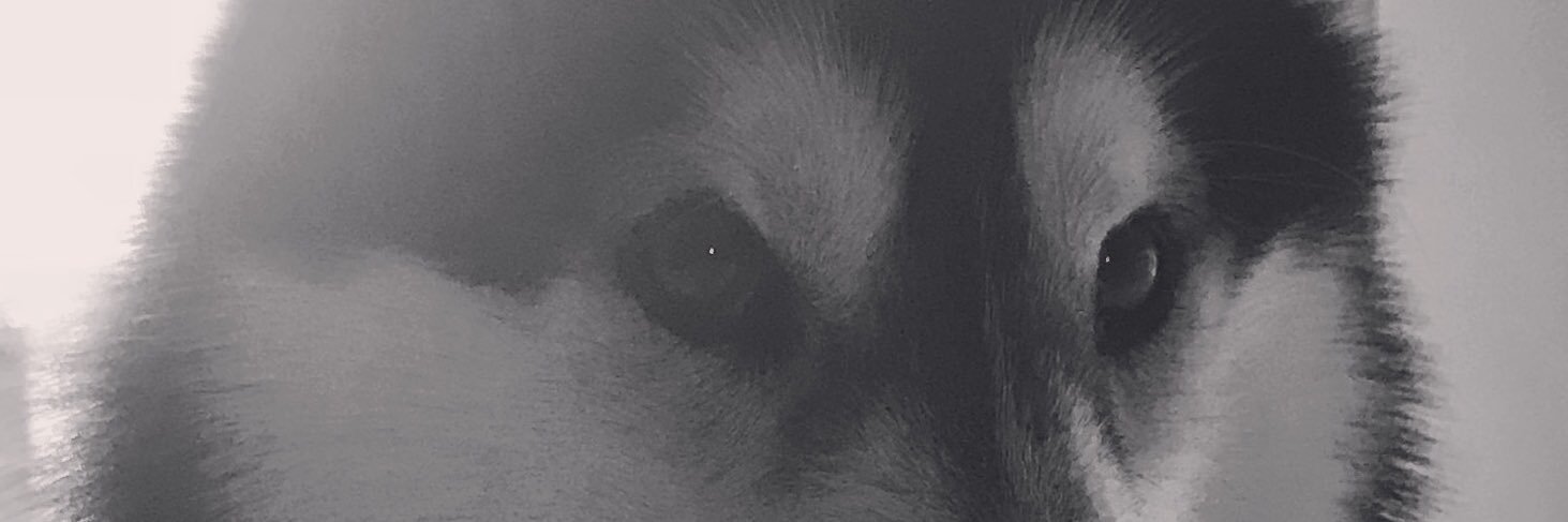 NazdrekITA's profile banner image