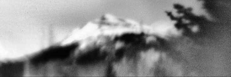 张, 𝖠𝖭𝖣𝖱𝖤𝖶. banner