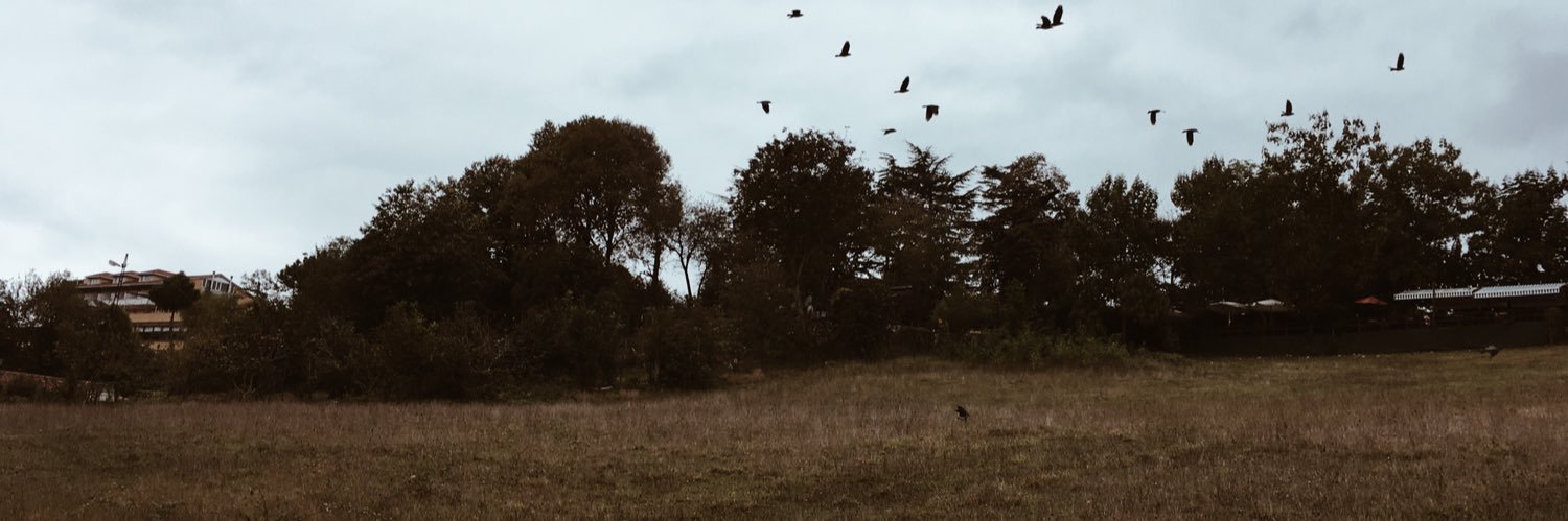 anluzer's profile banner image