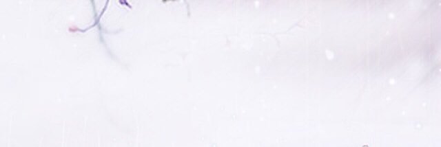 iiuu9988's profile banner image
