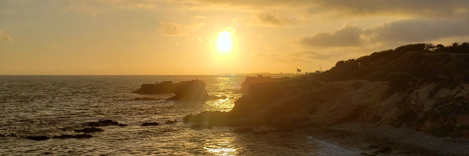 IndigoBlake__'s profile banner image
