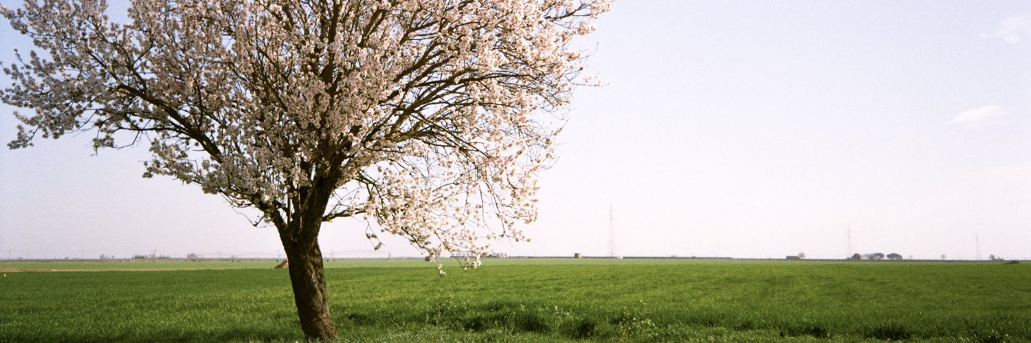 pedroma_'s profile banner image