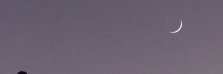 XAno0osX's profile banner image