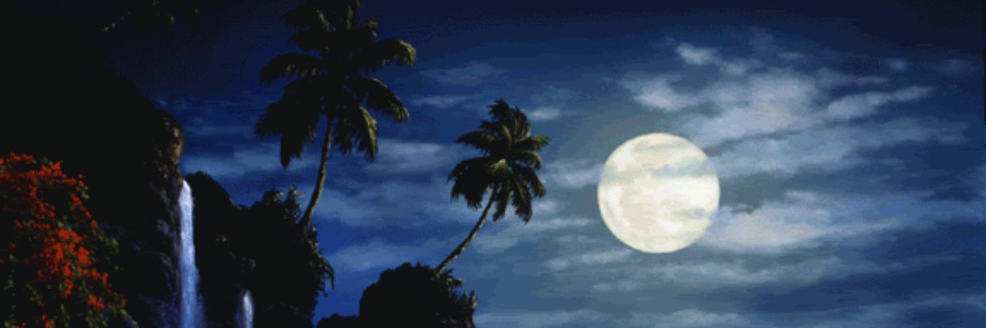 hanan4s's profile banner image