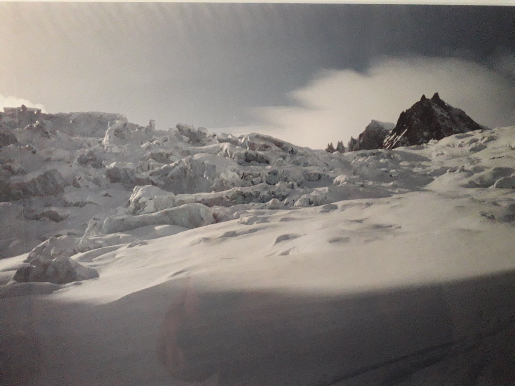 Adrian Mercer banner