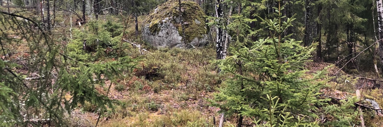 JohanMickelin's profile banner image