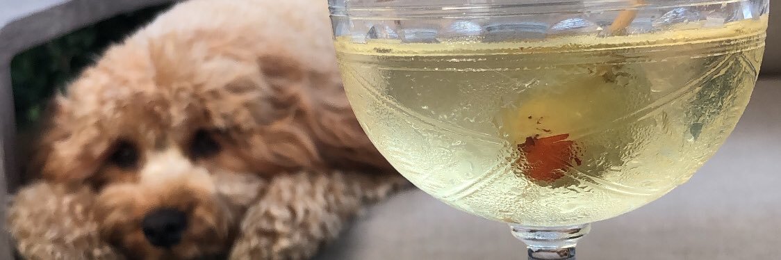 taylorbridgez's profile banner image