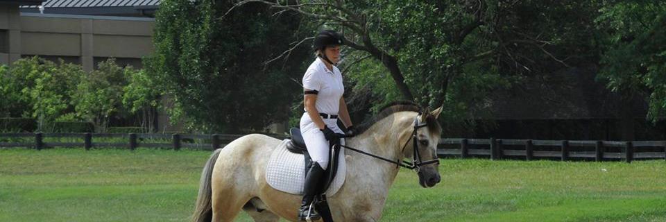 cherylresch's profile banner image
