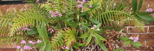 Reflection Connection banner