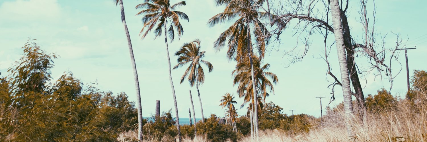 TannerDGordon's profile banner image