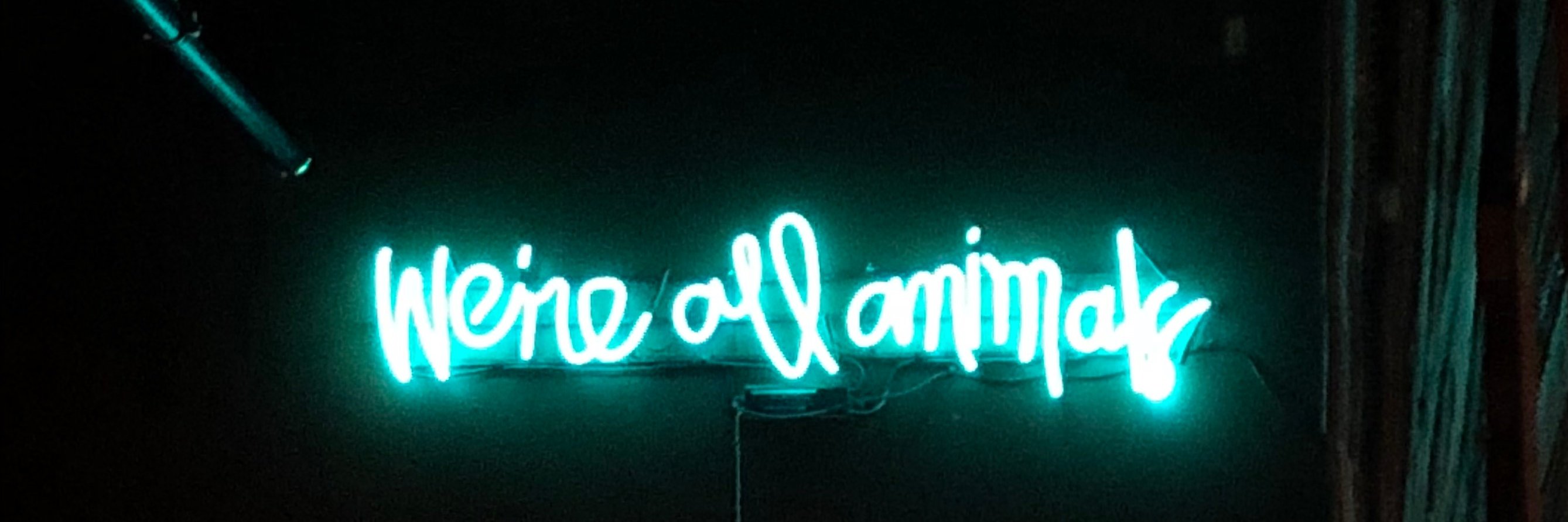 danielafcarey's profile banner image