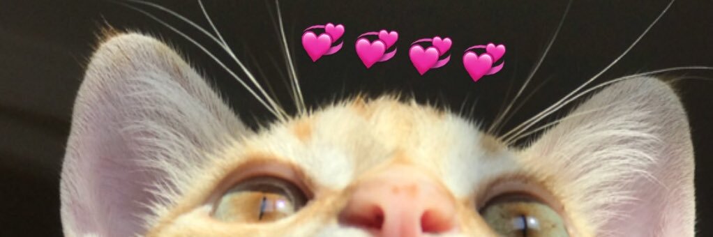 Susi 🐺 banner