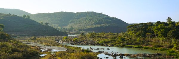 amiyaKT Profile Banner