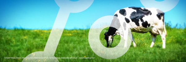 fun_pel Profile Banner