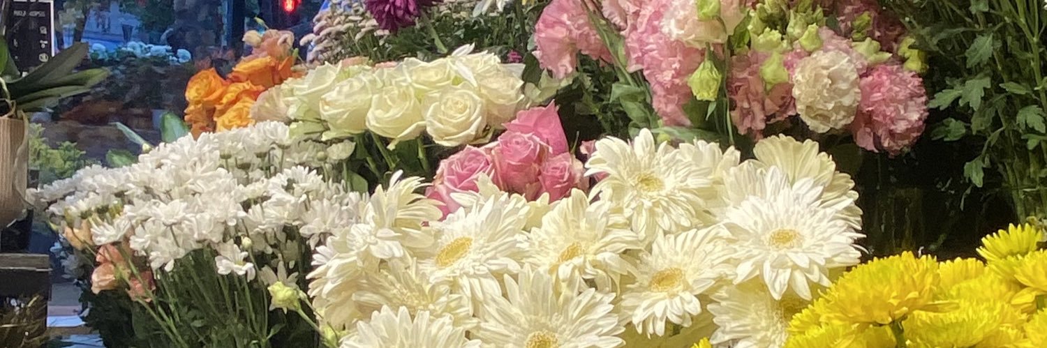 idimsu's profile banner image
