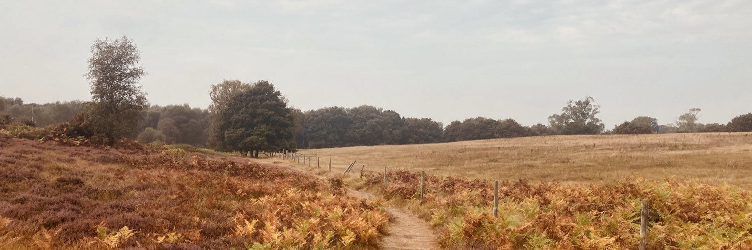 Kieran Morling banner