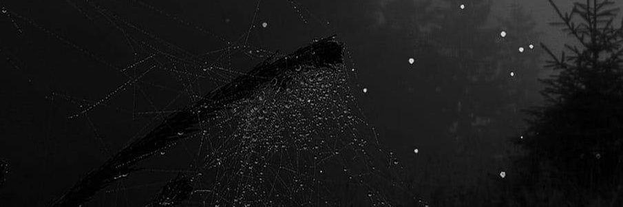 catastrophex_'s profile banner image