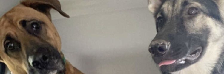 DowneyTimothy's profile banner image