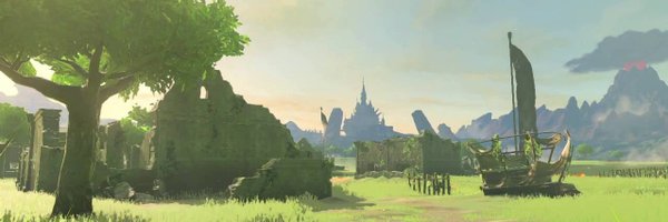 CrotonZelda Profile Banner