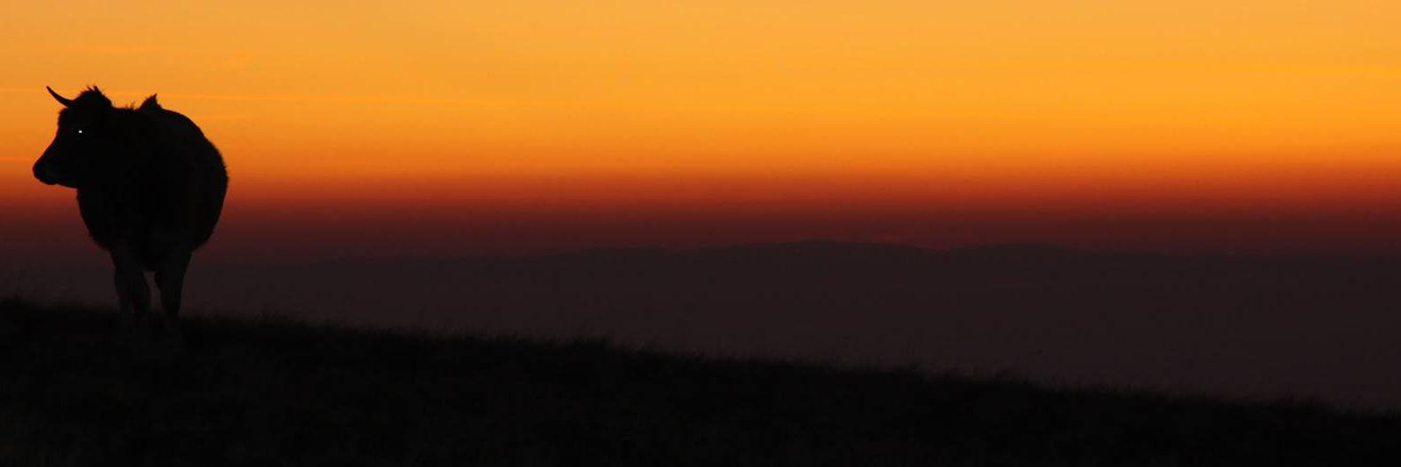 MthRnd's profile banner image