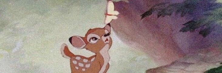celestialkia's profile banner image