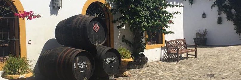 jerezeando's profile banner image