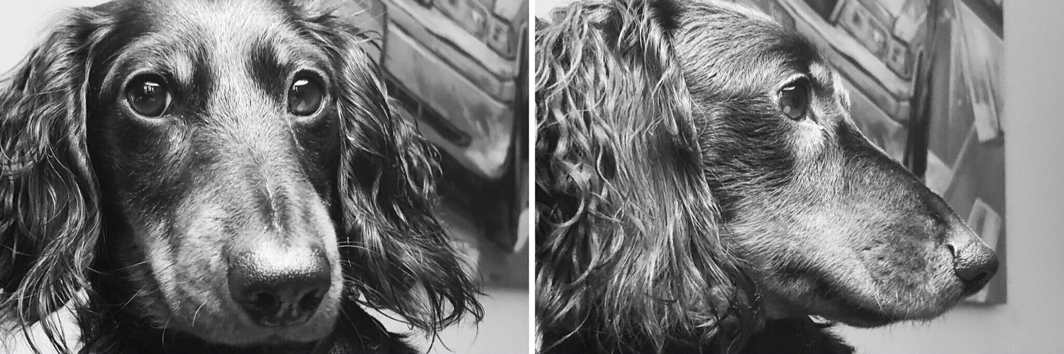 MatthewGellert's profile banner image