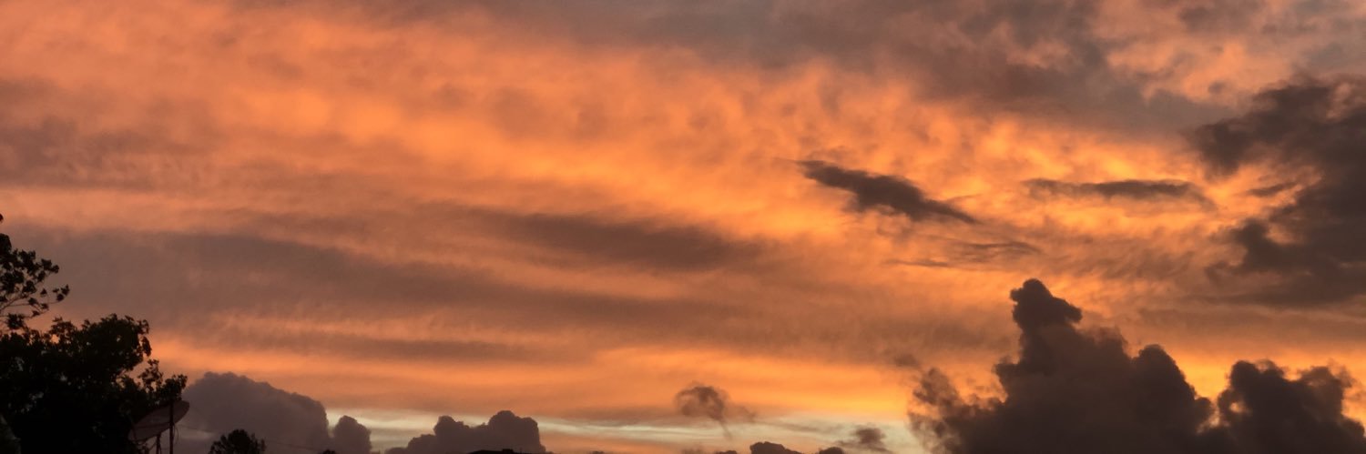 pringlecm's profile banner image