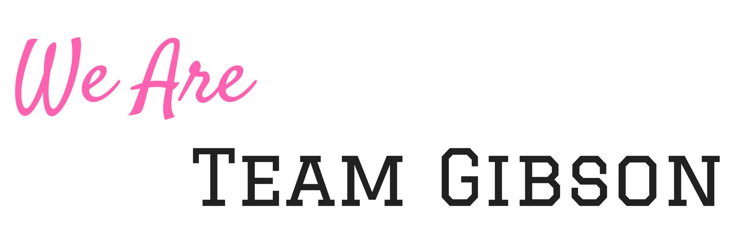 weareteamgibson's profile banner image