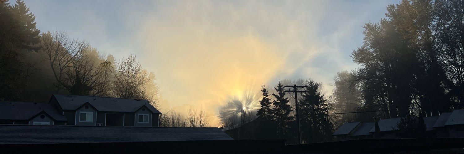 wnmeech's profile banner image