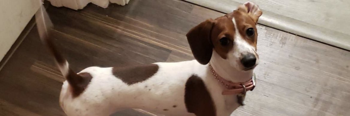 chloeeegaines's profile banner image