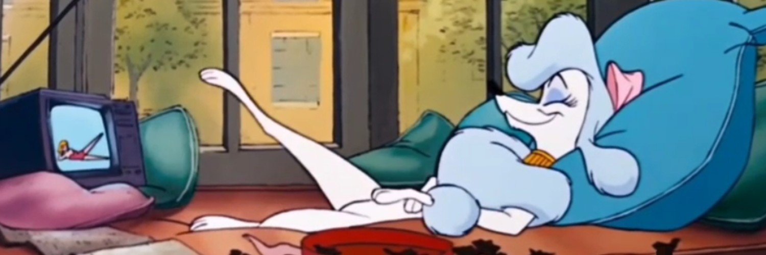 CircusIsOnFire's profile banner image