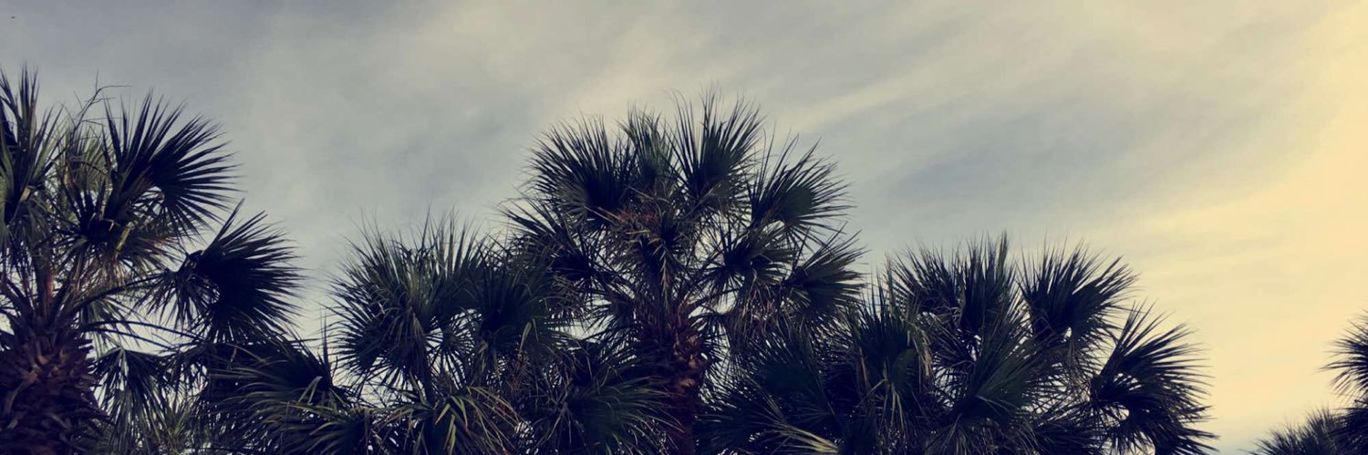 madelyn_wins's profile banner image