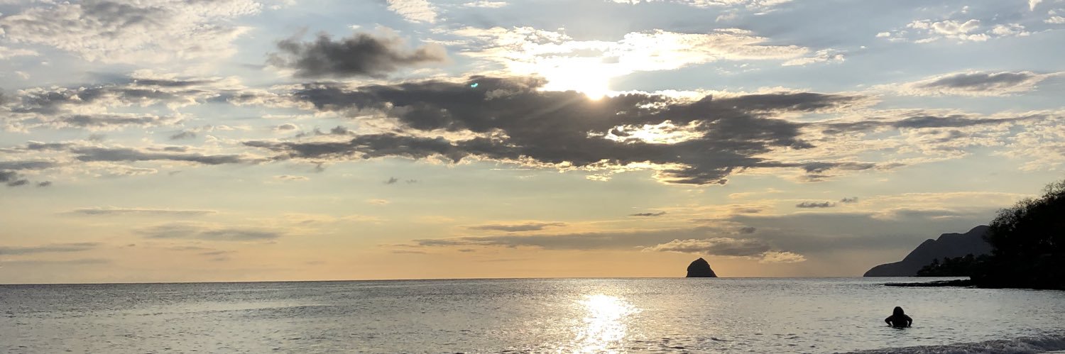 liilyn3's profile banner image