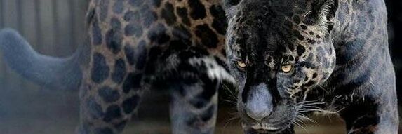254_fibo's profile banner image