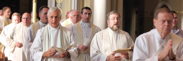 diolafin Profile Banner